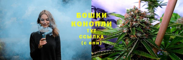 spice Новозыбков