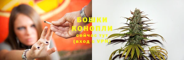 spice Новозыбков