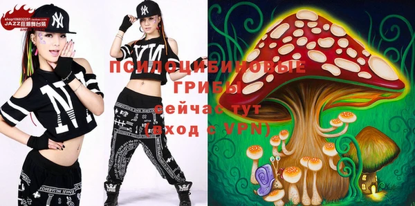 spice Новозыбков