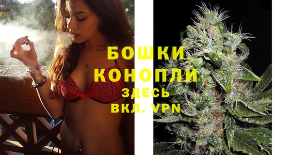 spice Новозыбков